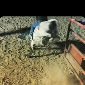 Meet your Posher, Max